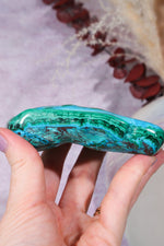 Malacholla Slab 10cm Slabs Tali & Loz Crystals