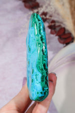 Malacholla Slab 10cm Slabs Tali & Loz Crystals