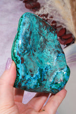 Malacholla Slab 10cm Slabs Tali & Loz Crystals