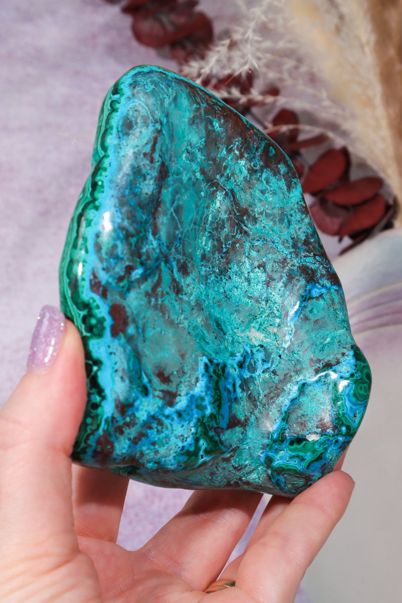 Malacholla Slab 10cm Slabs Tali & Loz Crystals