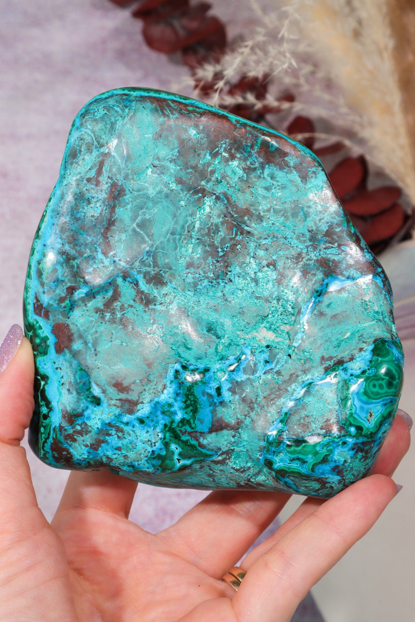 Malacholla Slab 10cm Slabs Tali & Loz Crystals