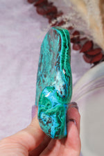 Malacholla Slab 10cm Slabs Tali & Loz Crystals