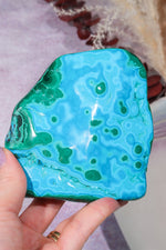 Malacholla Slab 10cm Slabs Tali & Loz Crystals