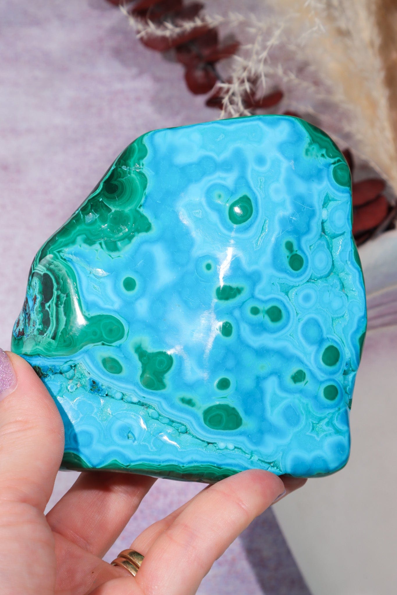 Malacholla Slab 10cm Slabs Tali & Loz Crystals