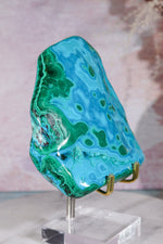 Malacholla Slab 10cm Slabs Tali & Loz Crystals