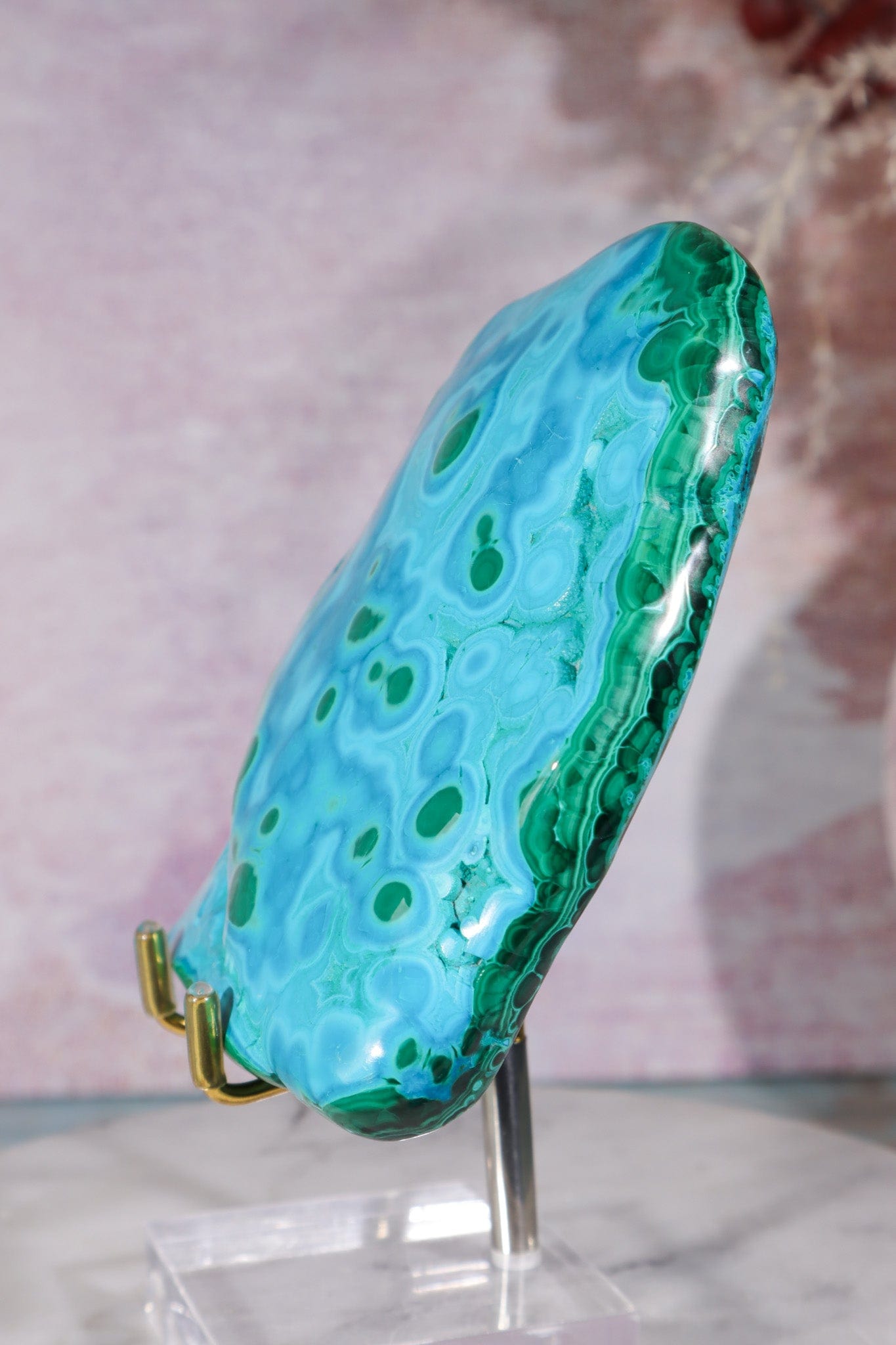 Malacholla Slab 10cm Slabs Tali & Loz Crystals