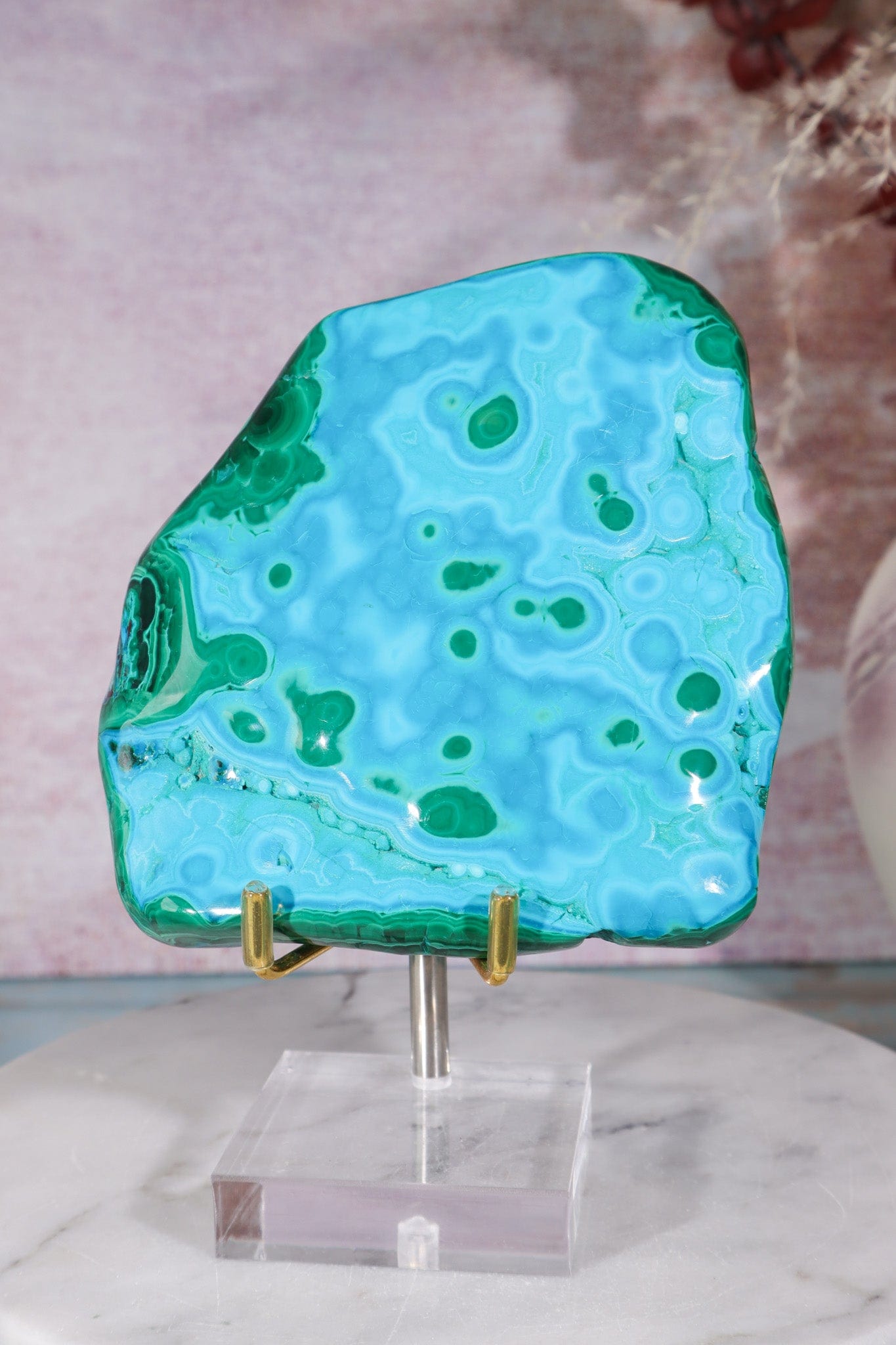 Malacholla Slab 10cm Slabs Tali & Loz Crystals