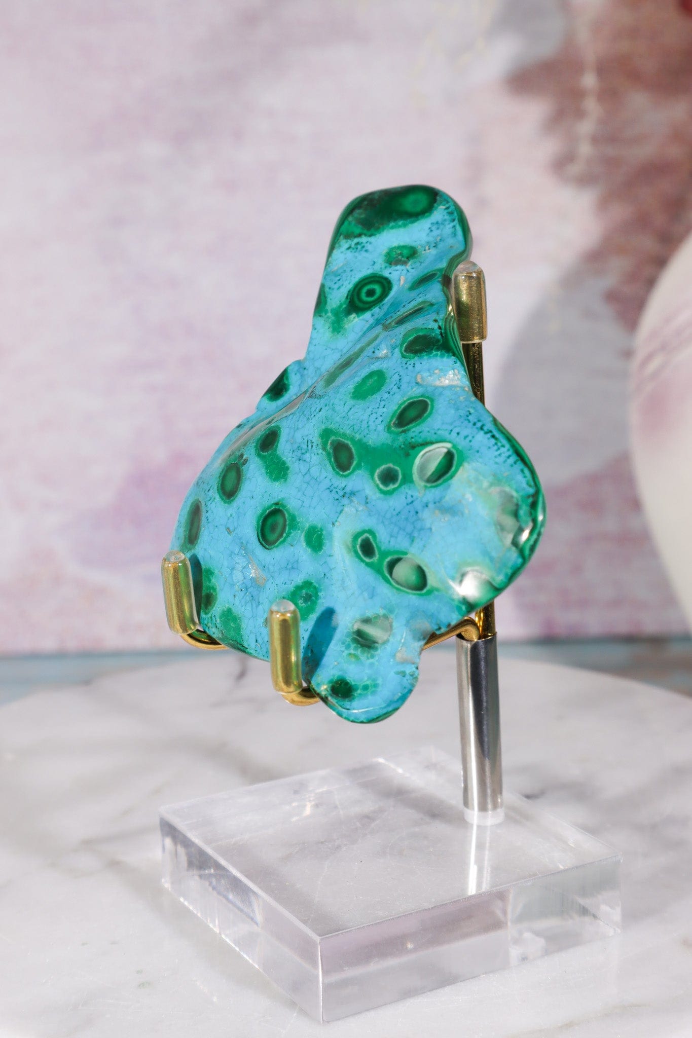 Malacholla Slab 8.5cm Slabs Tali & Loz Crystals