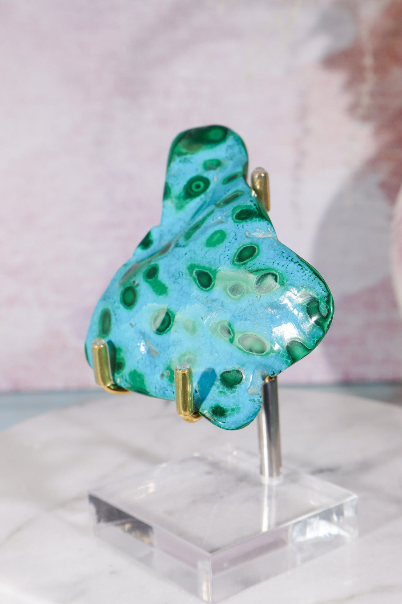 Malacholla Slab 8.5cm Slabs Tali & Loz Crystals