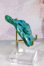 Malacholla Slab 8.5cm Slabs Tali & Loz Crystals