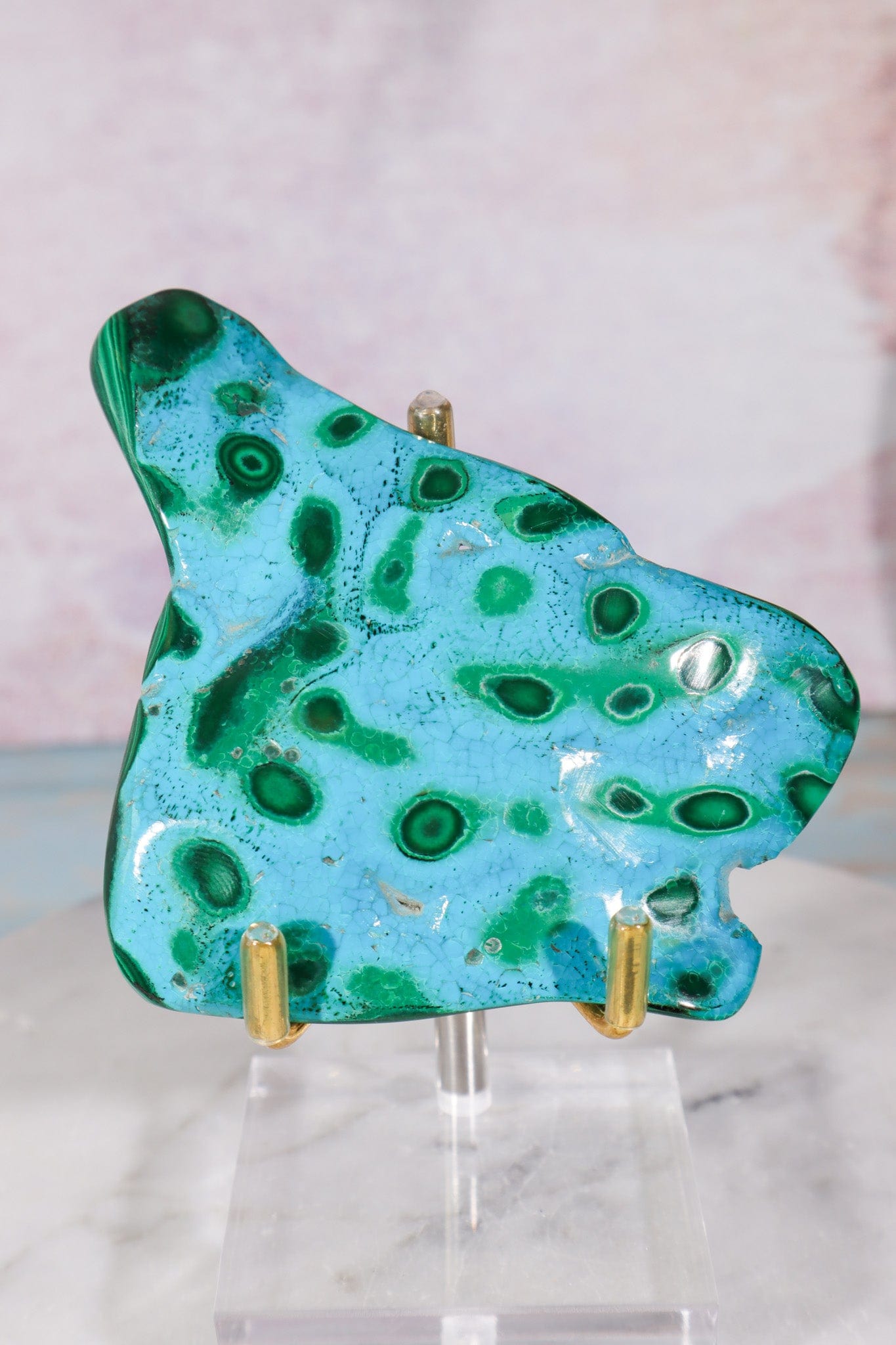 Malacholla Slab 8.5cm Slabs Tali & Loz Crystals