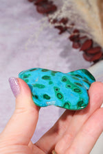 Malacholla Slab 8.5cm Slabs Tali & Loz Crystals