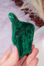 Malacholla Slab 8.5cm Slabs Tali & Loz Crystals