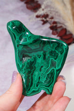 Malacholla Slab 8.5cm Slabs Tali & Loz Crystals