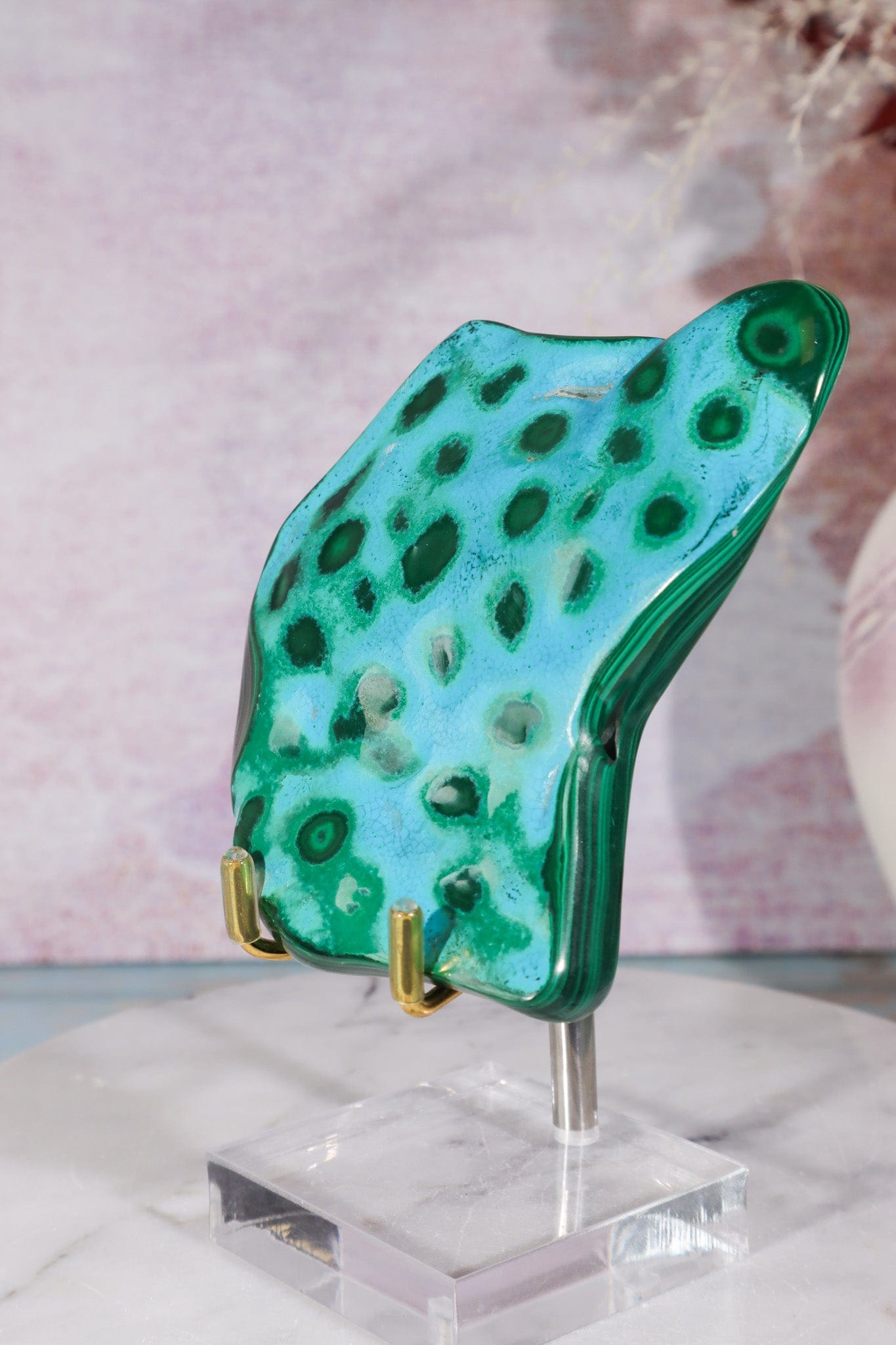 Malacholla Slab 9cm Slabs Tali & Loz Crystals