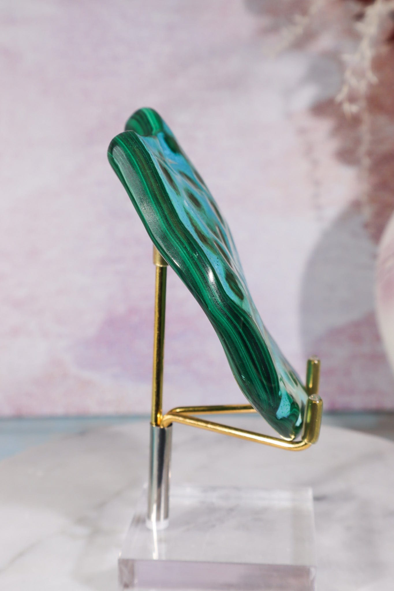 Malacholla Slab 9cm Slabs Tali & Loz Crystals