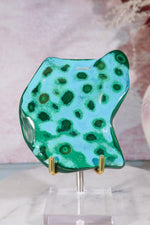 Malacholla Slab 9cm Slabs Tali & Loz Crystals