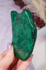 Malacholla Slab 9cm Slabs Tali & Loz Crystals