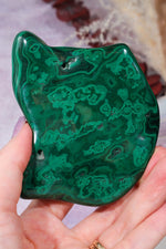 Malacholla Slab 9cm Slabs Tali & Loz Crystals