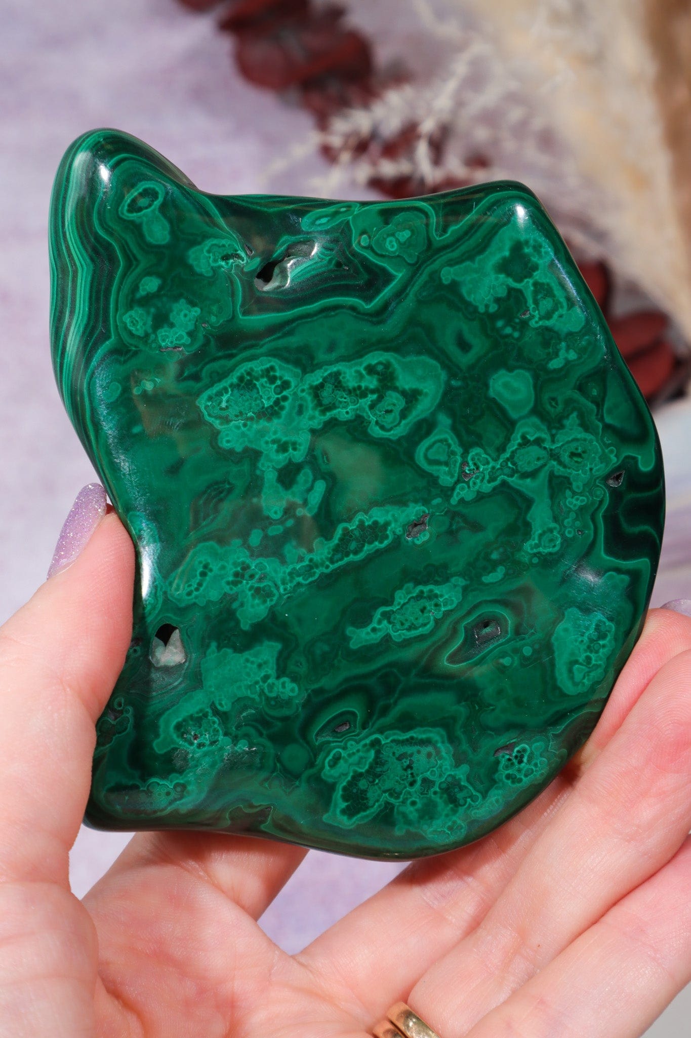 Malacholla Slab 9cm Slabs Tali & Loz Crystals