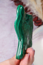 Malacholla Slab 9cm Slabs Tali & Loz Crystals