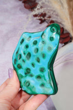 Malacholla Slab 9cm Slabs Tali & Loz Crystals