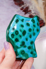 Malacholla Slab 9cm Slabs Tali & Loz Crystals