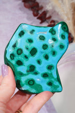 Malacholla Slab 9cm Slabs Tali & Loz Crystals