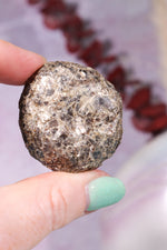 Marcasite Nodules 3cm Minerals Tali & Loz Crystals