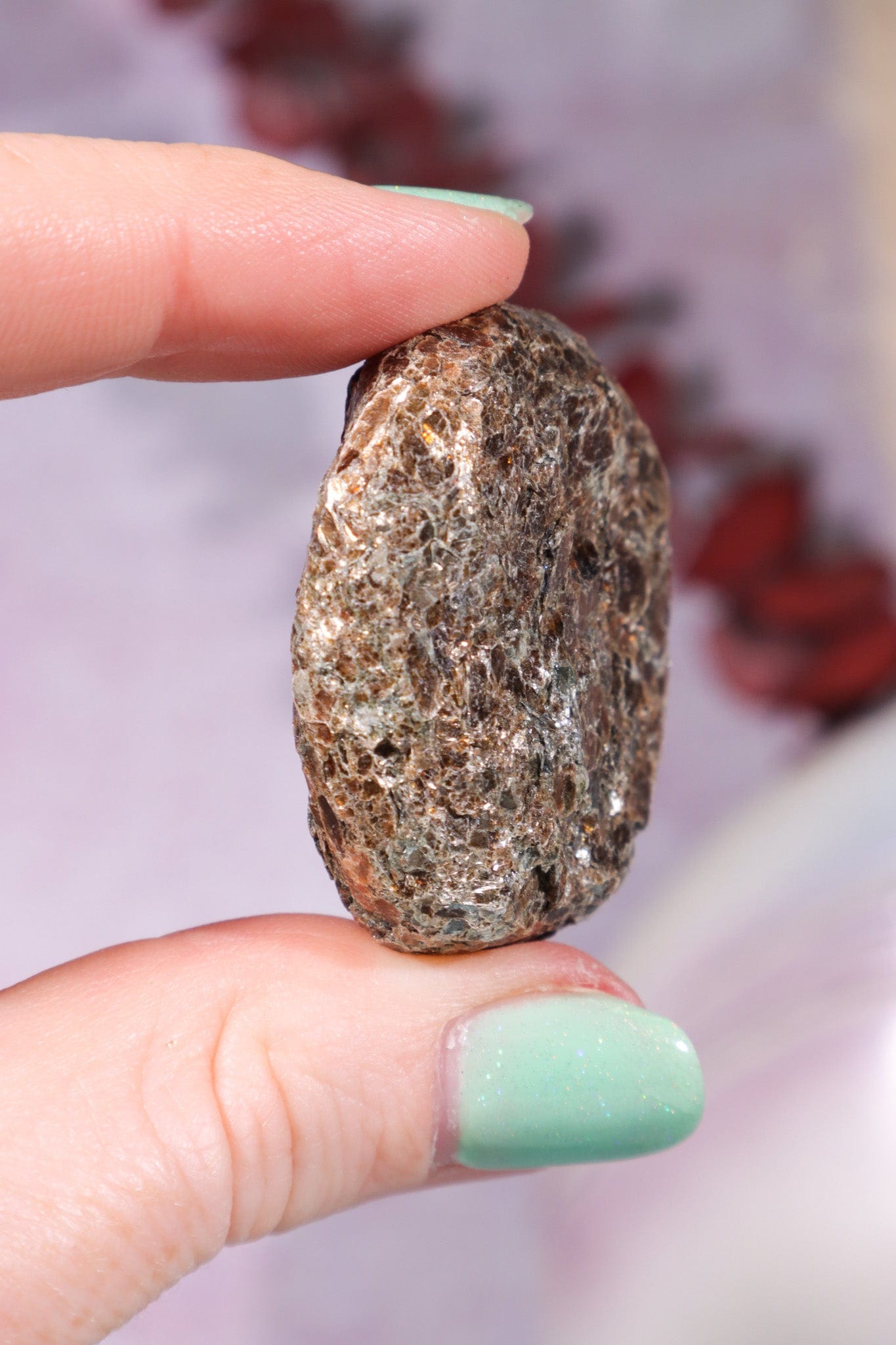 Marcasite Nodules 3cm Minerals Tali & Loz Crystals