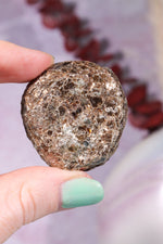 Marcasite Nodules 3cm Minerals Tali & Loz Crystals