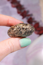 Marcasite Nodules 3cm Minerals Tali & Loz Crystals