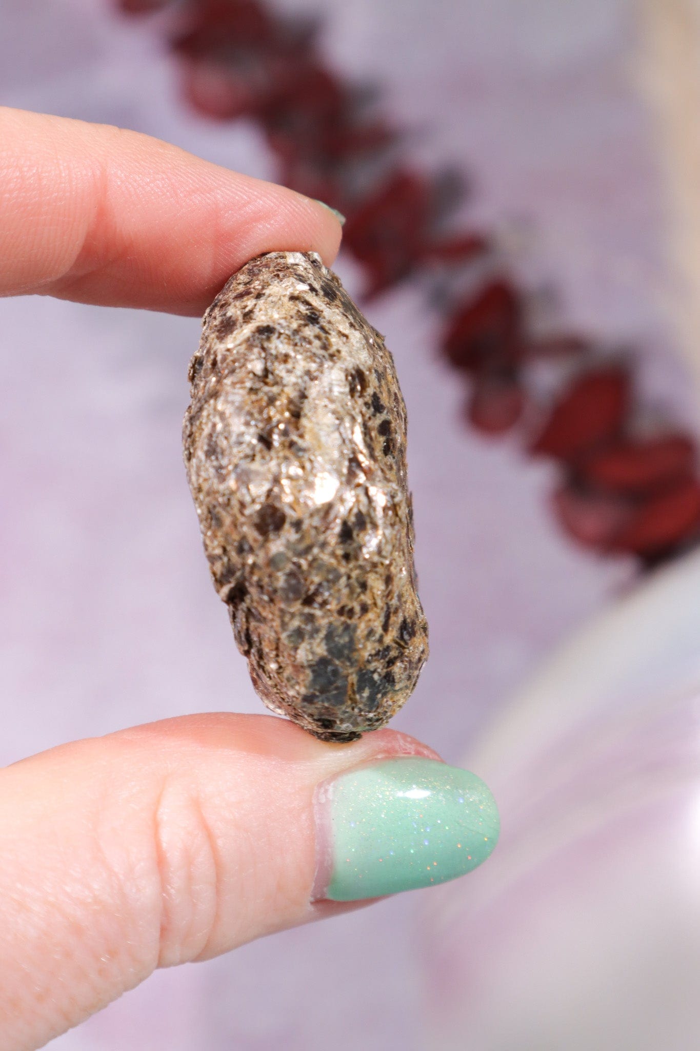 Marcasite Nodules 3cm Minerals Tali & Loz Crystals