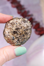 Marcasite Nodules 3cm Minerals Tali & Loz Crystals