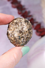 Marcasite Nodules 3cm Minerals Tali & Loz Crystals