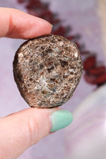 Marcasite Nodules 3cm Minerals Tali & Loz Crystals