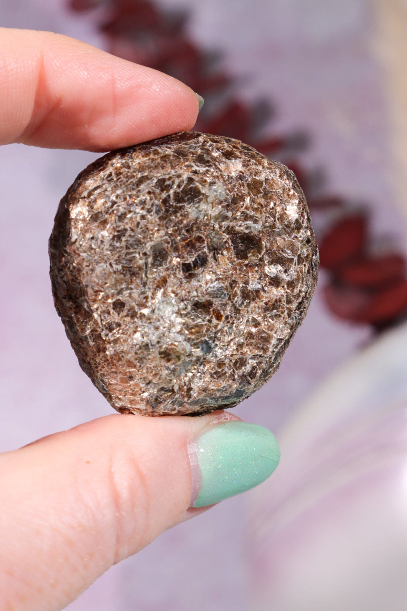 Marcasite Nodules 3cm Minerals Tali & Loz Crystals