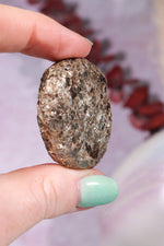 Marcasite Nodules 3cm Minerals Tali & Loz Crystals