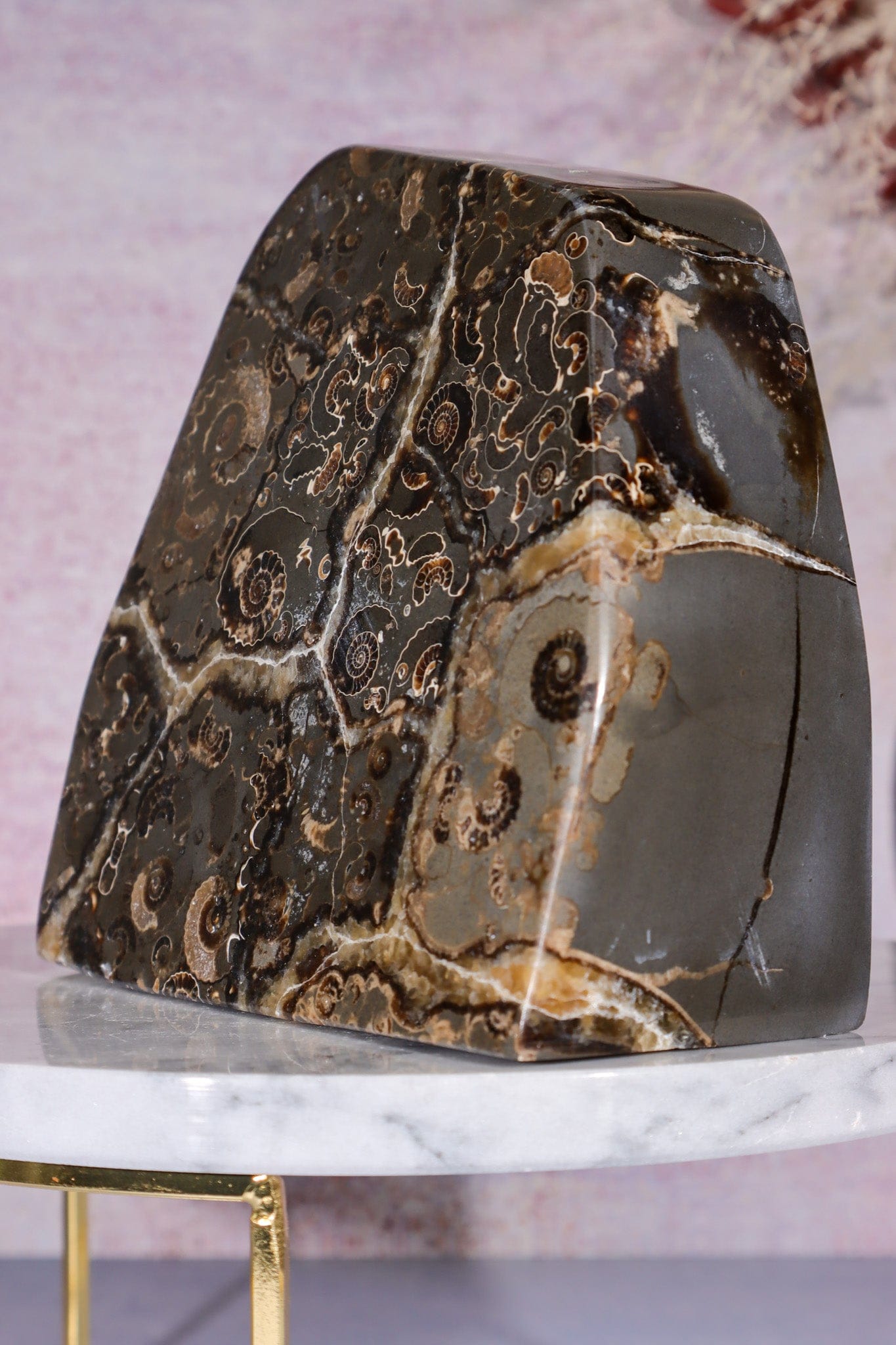 Marston Marble Freeform 1.6KG, Lower Jurassic, UK Fossil Tali & Loz Crystals