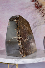 Marston Marble Freeform 1.6KG, Lower Jurassic, UK Fossil Tali & Loz Crystals