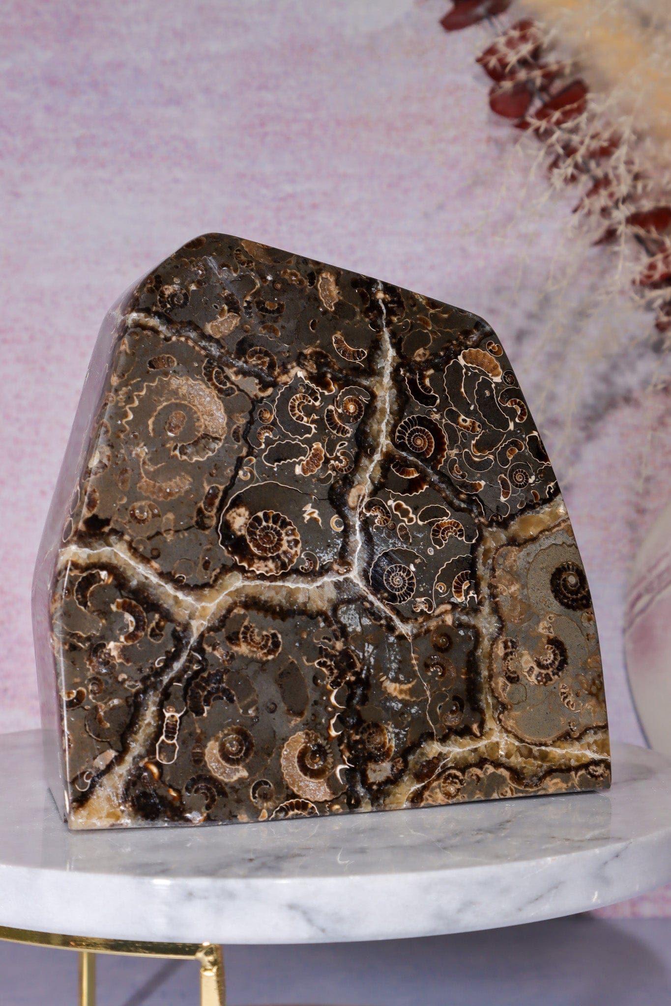 Marston Marble Freeform 1.6KG, Lower Jurassic, UK Fossil Tali & Loz Crystals