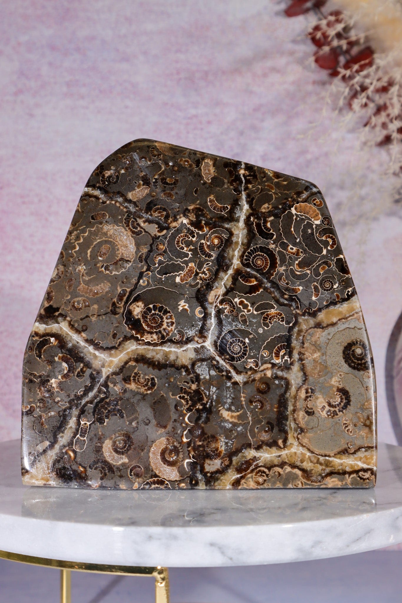 Marston Marble Freeform 1.6KG, Lower Jurassic, UK Fossil Tali & Loz Crystals