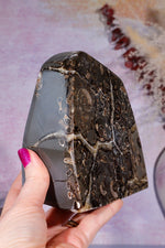 Marston Marble Freeform 1.6KG, Lower Jurassic, UK Fossil Tali & Loz Crystals