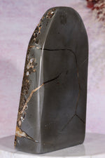 Marston Marble Freeform 16cm, Lower Jurassic, UK Fossil Tali & Loz Crystals