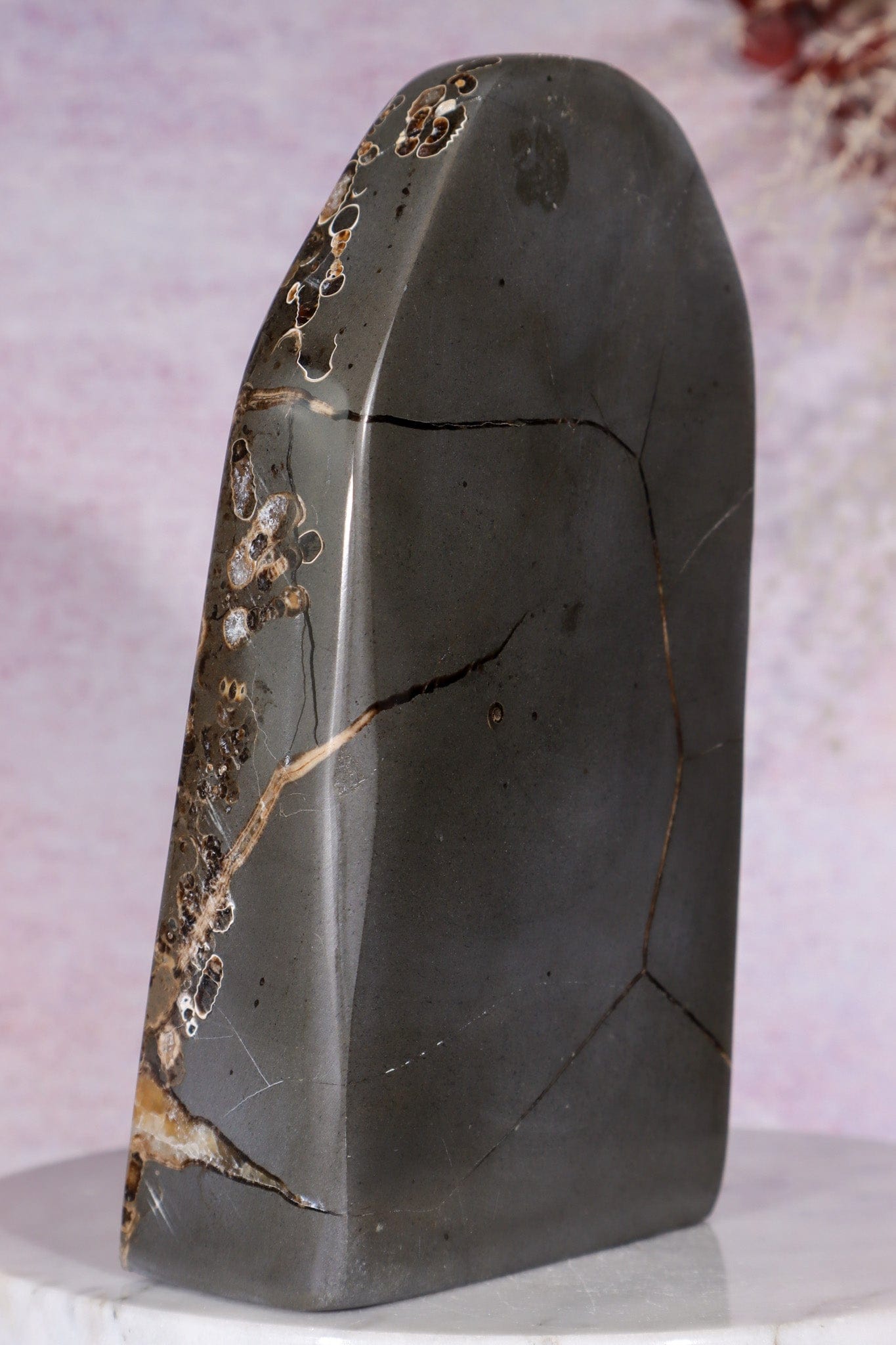 Marston Marble Freeform 16cm, Lower Jurassic, UK Fossil Tali & Loz Crystals