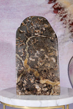 Marston Marble Freeform 16cm, Lower Jurassic, UK Fossil Tali & Loz Crystals