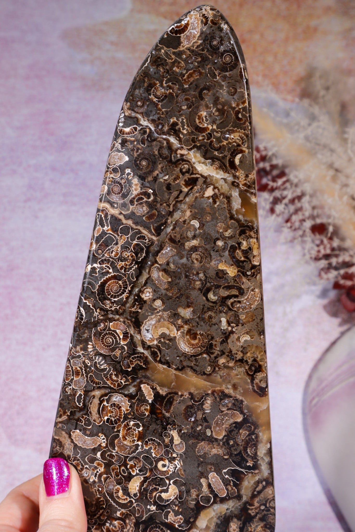 Marston Marble Freeform 22cm, Lower Jurassic, UK Fossil Tali & Loz Crystals