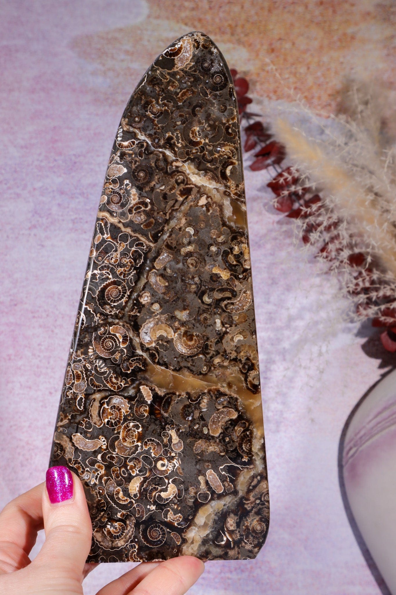 Marston Marble Freeform 22cm, Lower Jurassic, UK Fossil Tali & Loz Crystals