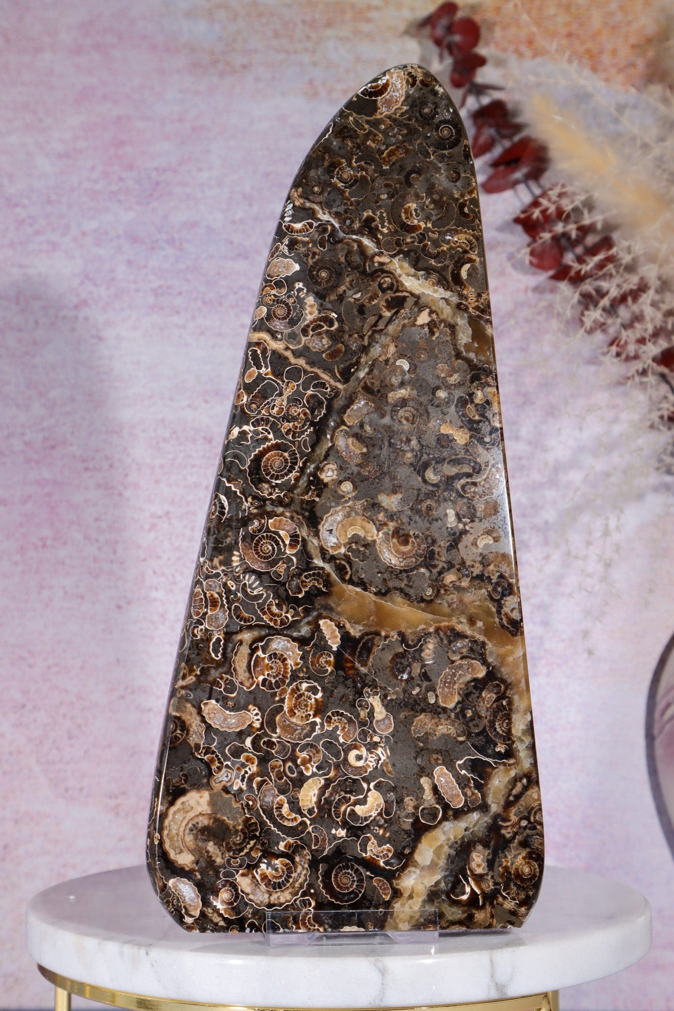 Marston Marble Freeform 22cm, Lower Jurassic, UK Fossil Tali & Loz Crystals