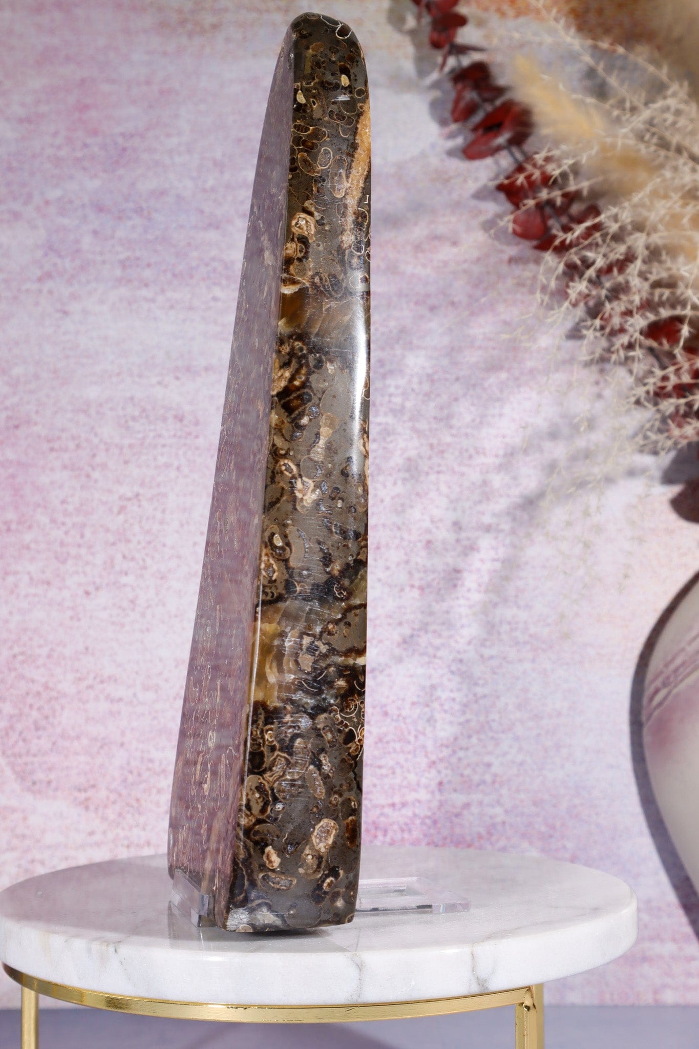 Marston Marble Freeform 22cm, Lower Jurassic, UK Fossil Tali & Loz Crystals